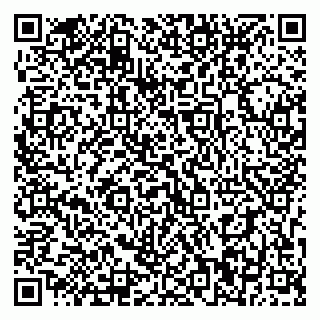 vCard 79393010399