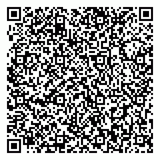 vCard 79393010401