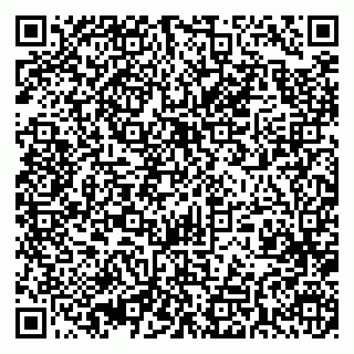 vCard 79393010403