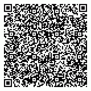 vCard 79393010408
