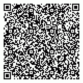 vCard 79393010410
