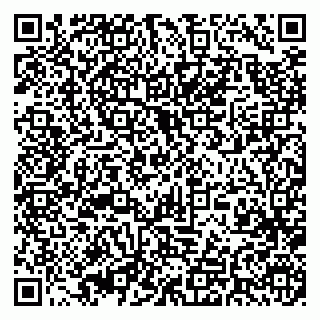 vCard 79393010411