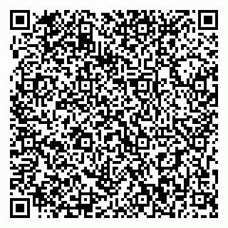 vCard 79393010413
