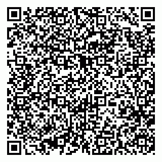 vCard 79393010417