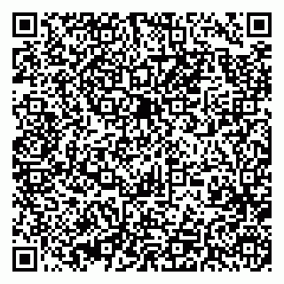 vCard 79393010499