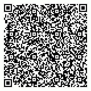 vCard 79393010504