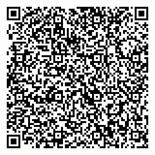 vCard 79393010527