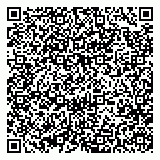 vCard 79393010533