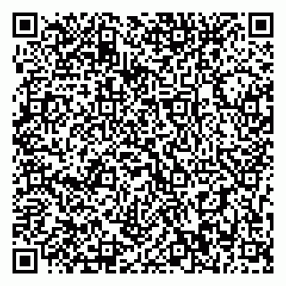 vCard 79393010537