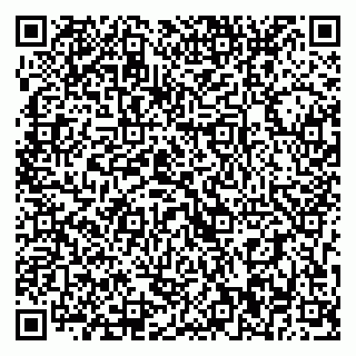 vCard 79393010541