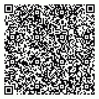 vCard 79393010621