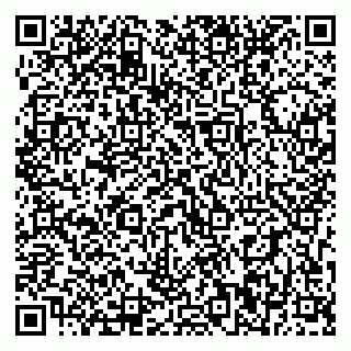 vCard 79393010629