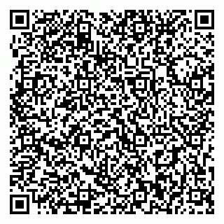 vCard 79393010630