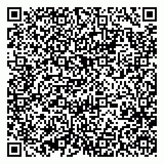 vCard 79393010635
