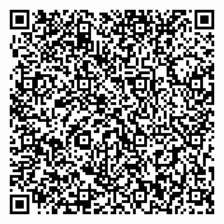 vCard 79393010740