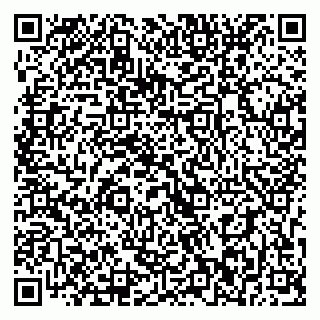 vCard 79393012041