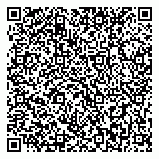 vCard 79393012049