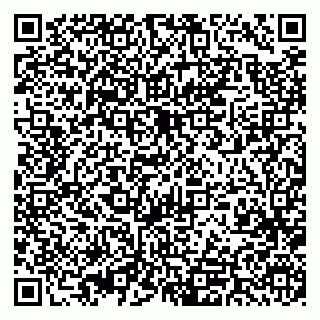 vCard 79393012080