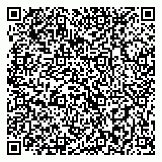 vCard 79393012210