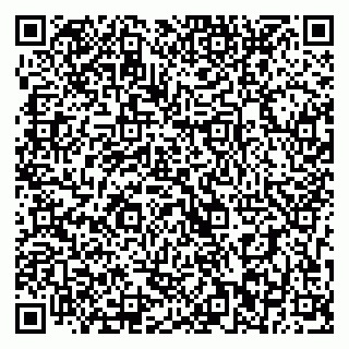 vCard 79393012389