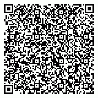 vCard 79393012481