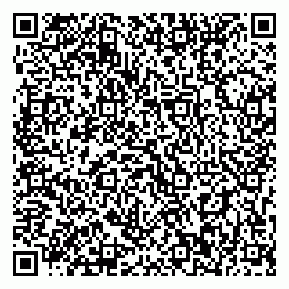 vCard 79393012624