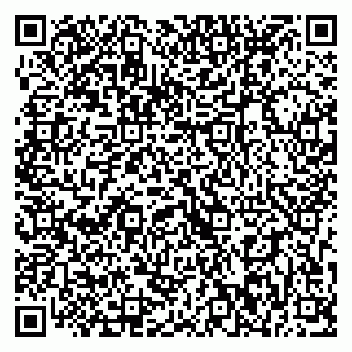 vCard 79393012803