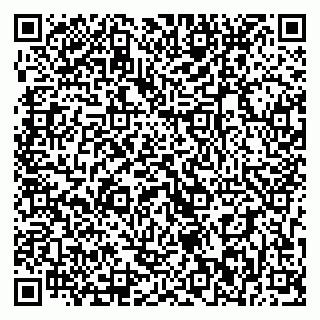 vCard 79393012821