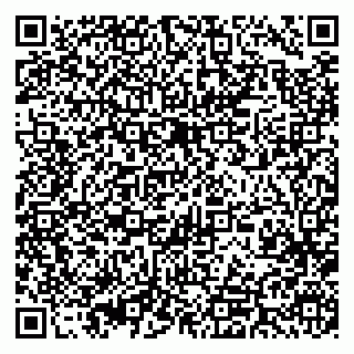 vCard 79393012890