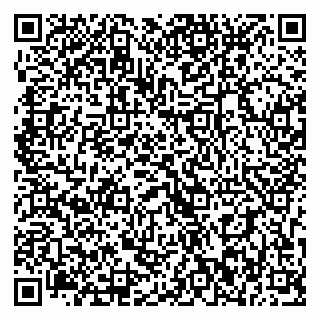 vCard 79393012913
