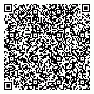 vCard 79393012920