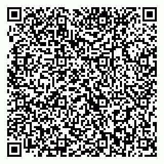 vCard 79393012939