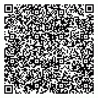 vCard 79393013024