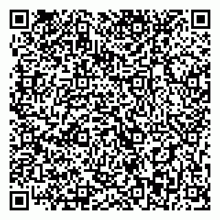 vCard 79393013029