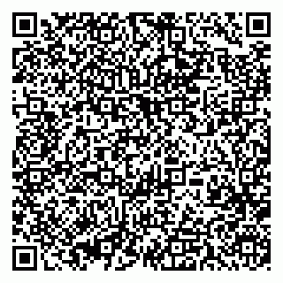 vCard 79393013052