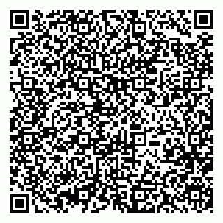 vCard 79393013055