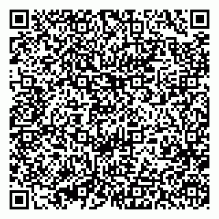 vCard 79393013065