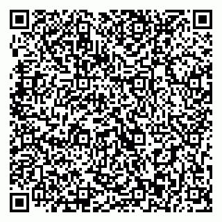 vCard 79393013084