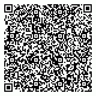 vCard 79393013085