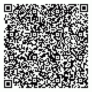 vCard 79393013089