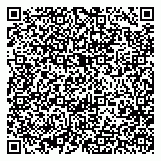 vCard 79393013091
