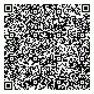 vCard 79393013099