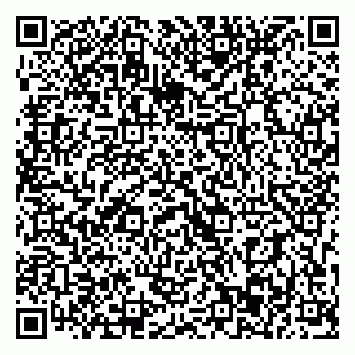 vCard 79393013104