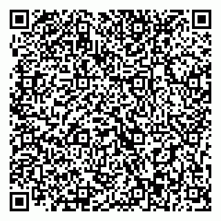 vCard 79393013105