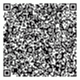vCard 79393013108