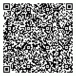vCard 79393013113