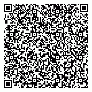 vCard 79393013121