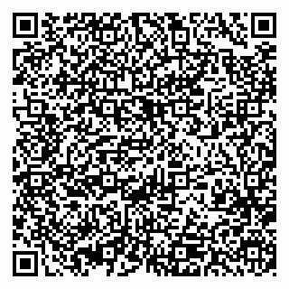 vCard 79393013128