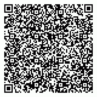 vCard 79393013138