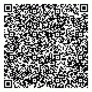 vCard 79393013153